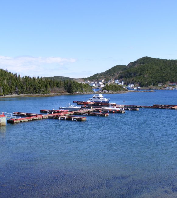 Town of Triton Town of Triton, Newfoundland & Labrador, Canada